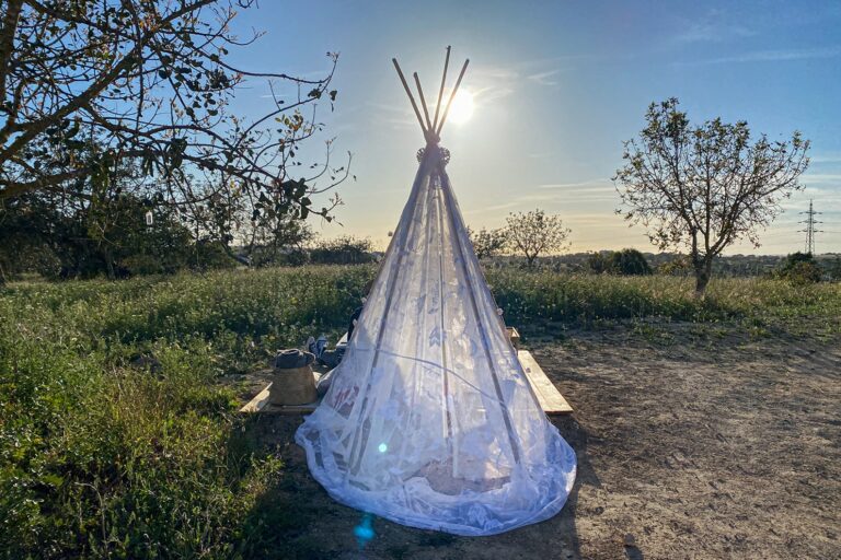 Algarve Romantic Vineyard Picnic