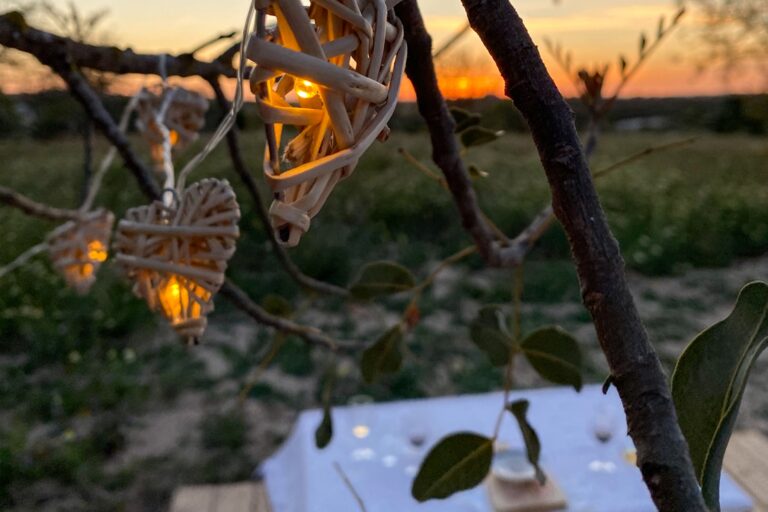 Algarve Gourmet Romantic Picnic Details