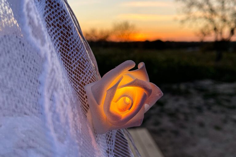 Algarve Romantic Picnic Flower light
