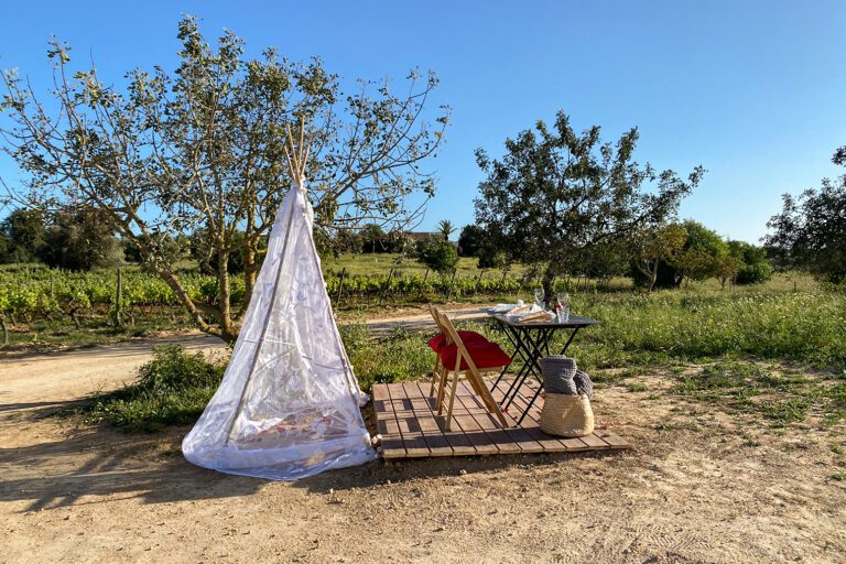 Algarve Romantic Picnic in the vines