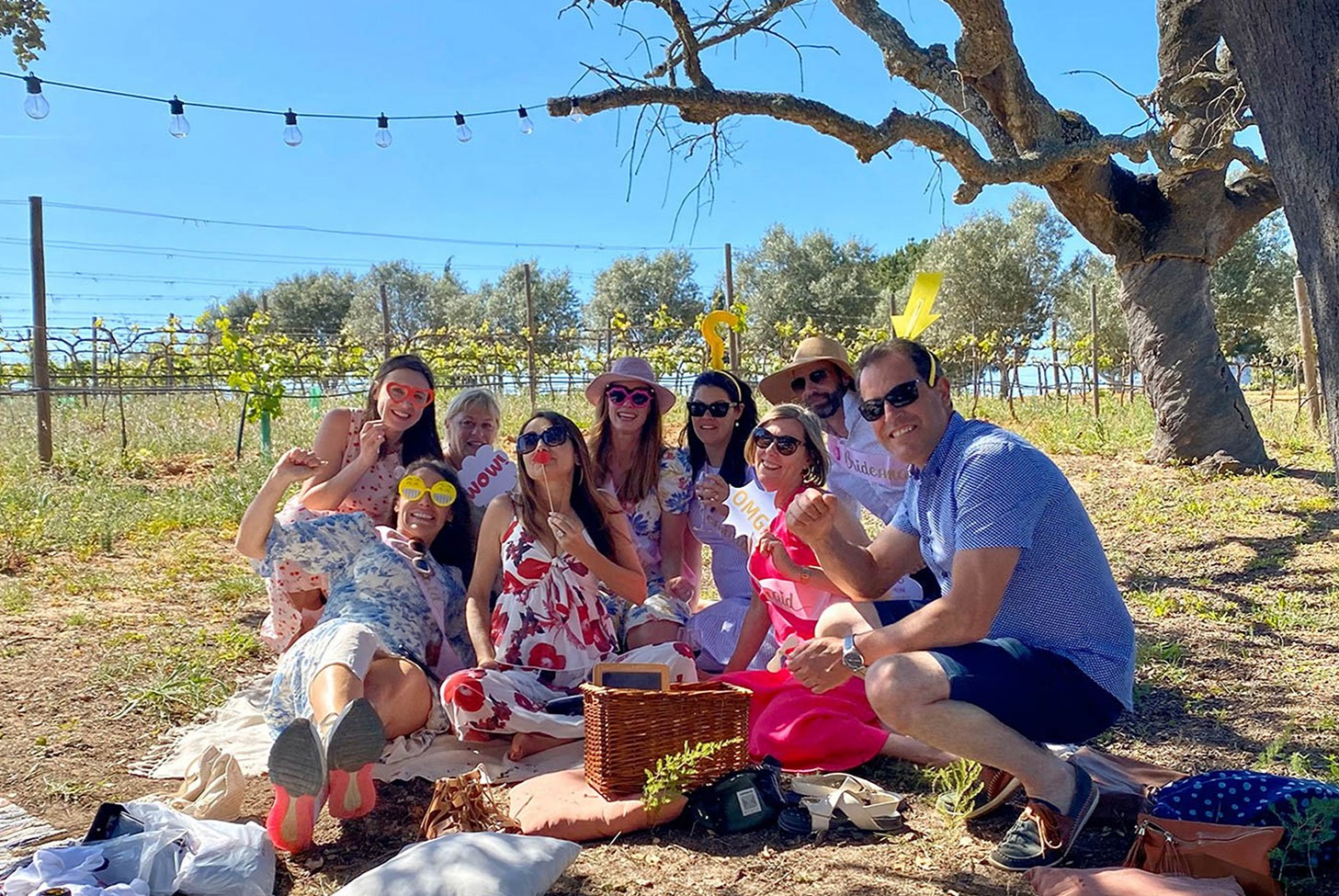 Algarve Vineyard Food Tour