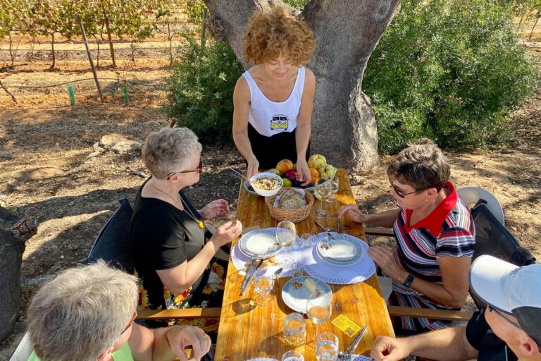 Picnic with food and wine Pairing in the Algarve