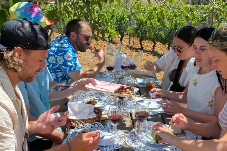 Wine Pairing Picnic Experience - Algarve