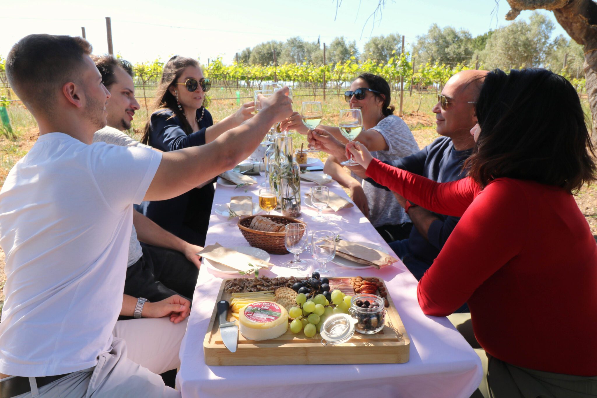 Algarve Wine Pairing Picnic or Lunch