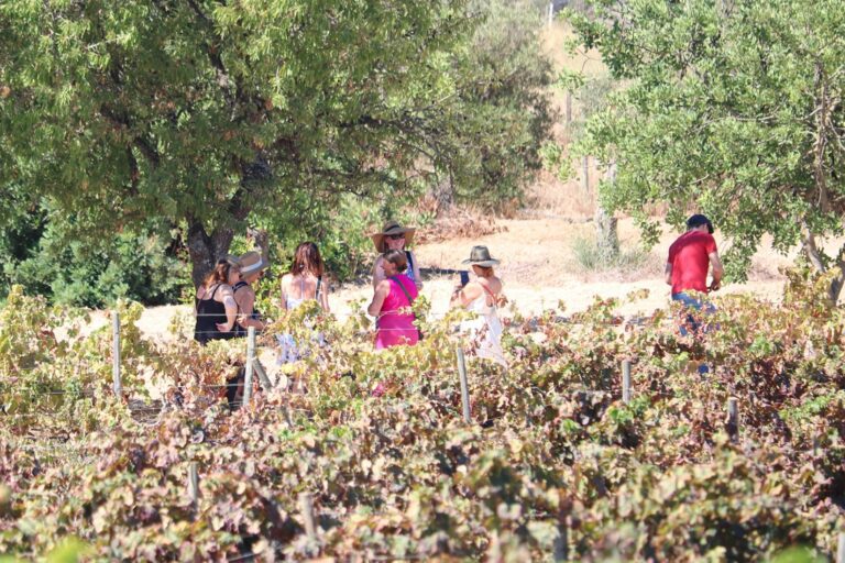 Algarve Wine Tasting and Music30