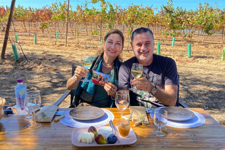 Romantic Sunset in the Vineyard