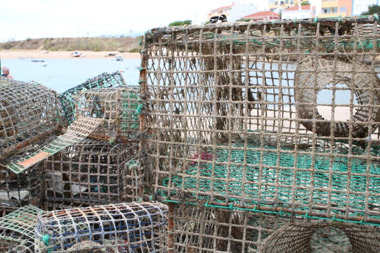 Tour do Mar do Algarve - Armações de Pesca